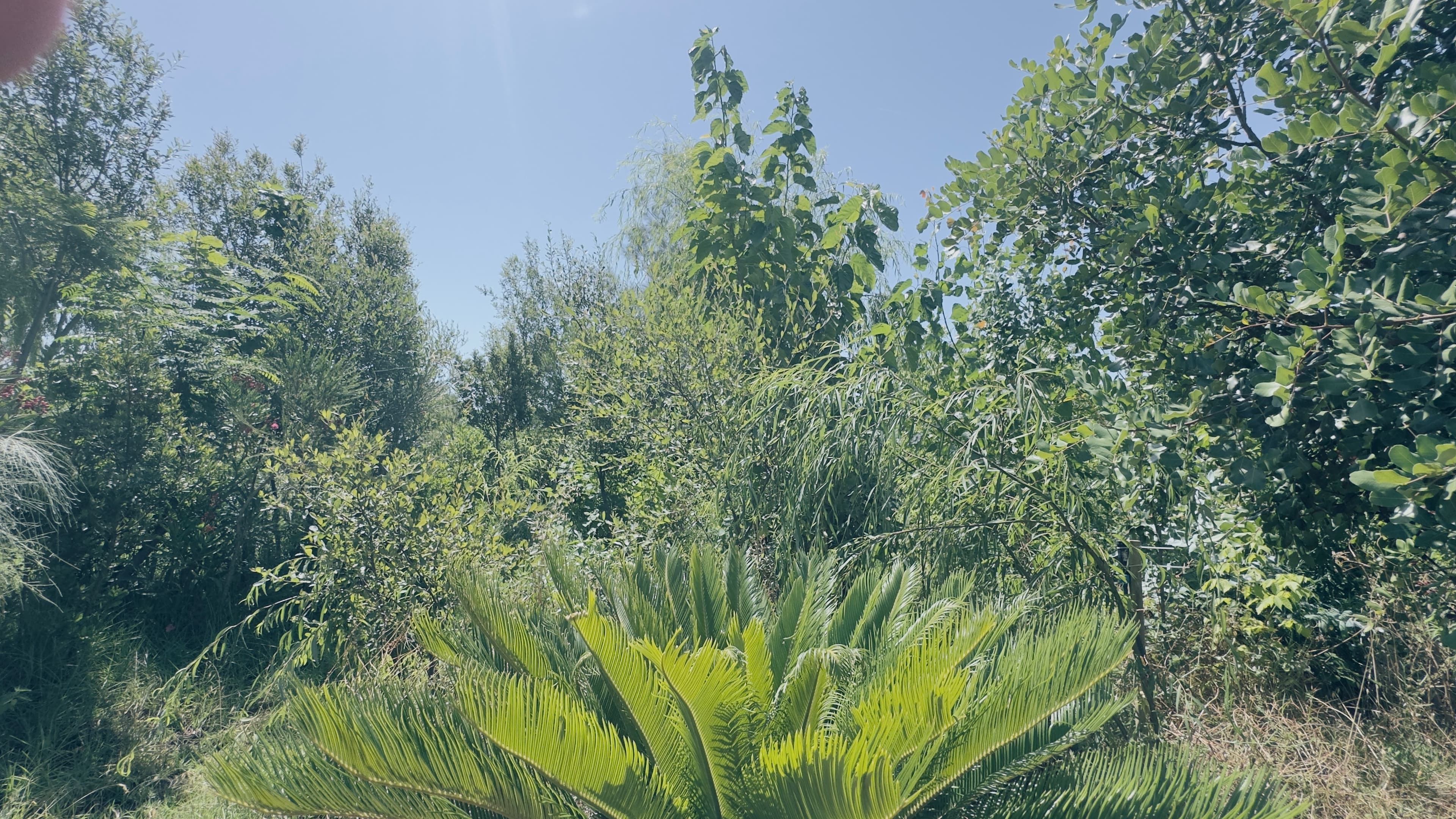 Quinta da Fornalha · Castro Marim